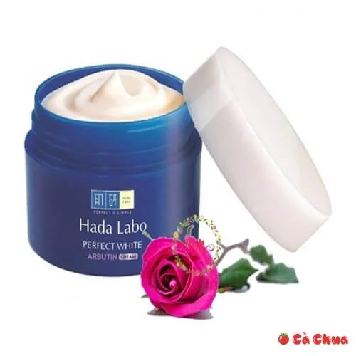Hada Labo Perfect White Arbutin Cream - Dưỡng ẩm sâu, trắng mượt vượt trội Review 5 sản phẩm dưỡng da Hala Labo