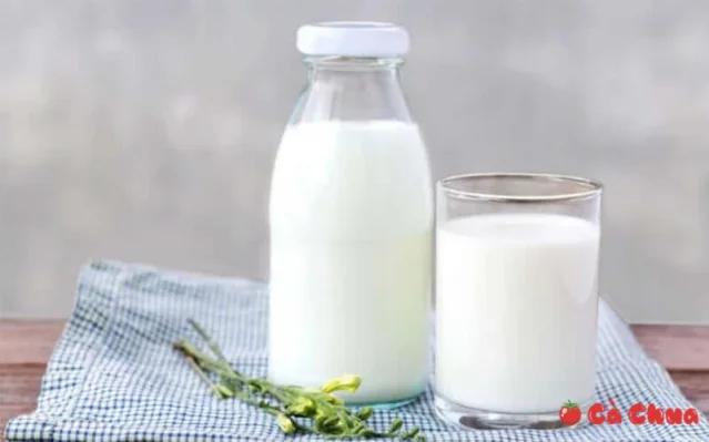 [Tips] 7 Cách tắm trắng bằng sữa tươi không đường tại nhà
