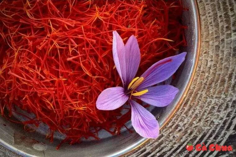 Saffron - Nhụy hoa nghệ tây là gì? Những tác dụng của nhuỵ hoa nghệ tây