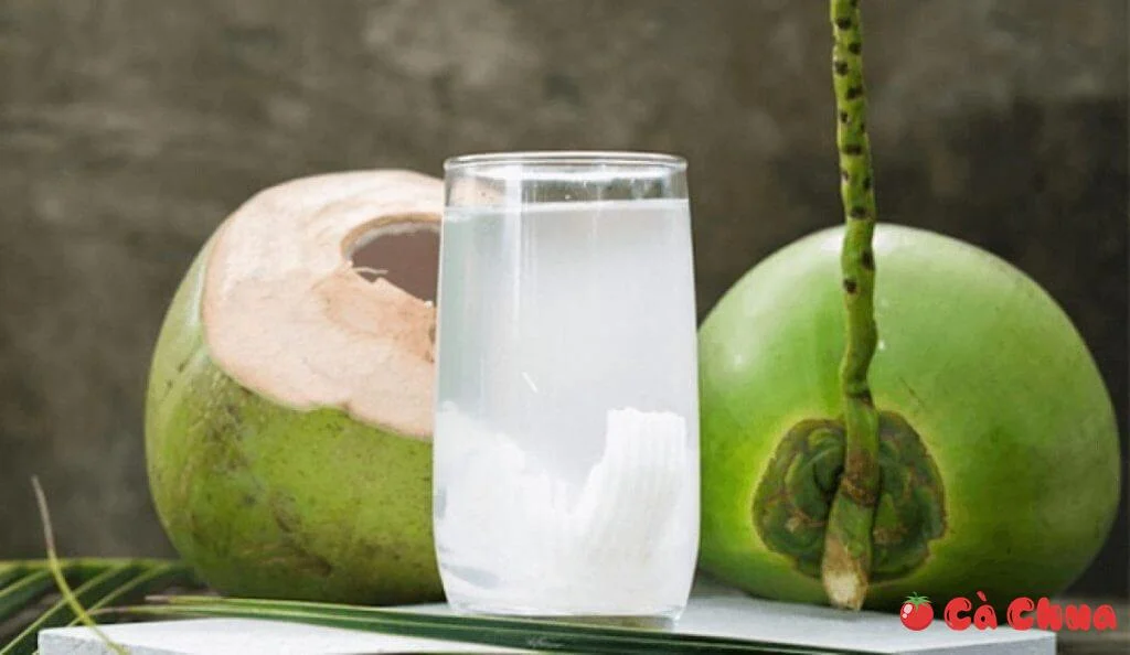 10 tác dụng tuyệt vời của nước dừa đối với sức khoẻ bạn nên biết