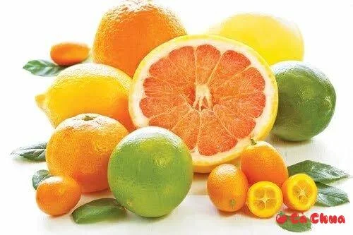 Trái cây họ cam quýt