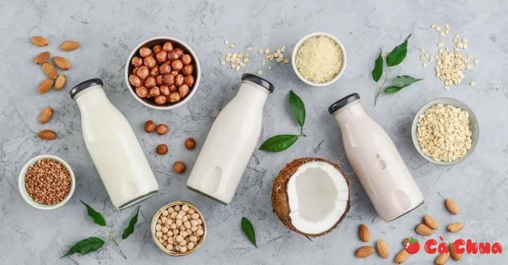 7 công thức tự làm sữa hạt tại nhà thơm ngon, dinh dưỡng